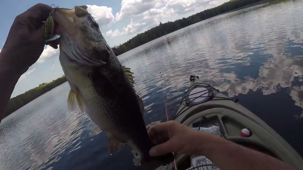 wow! he fought hard. wow nice bass, in Maine
