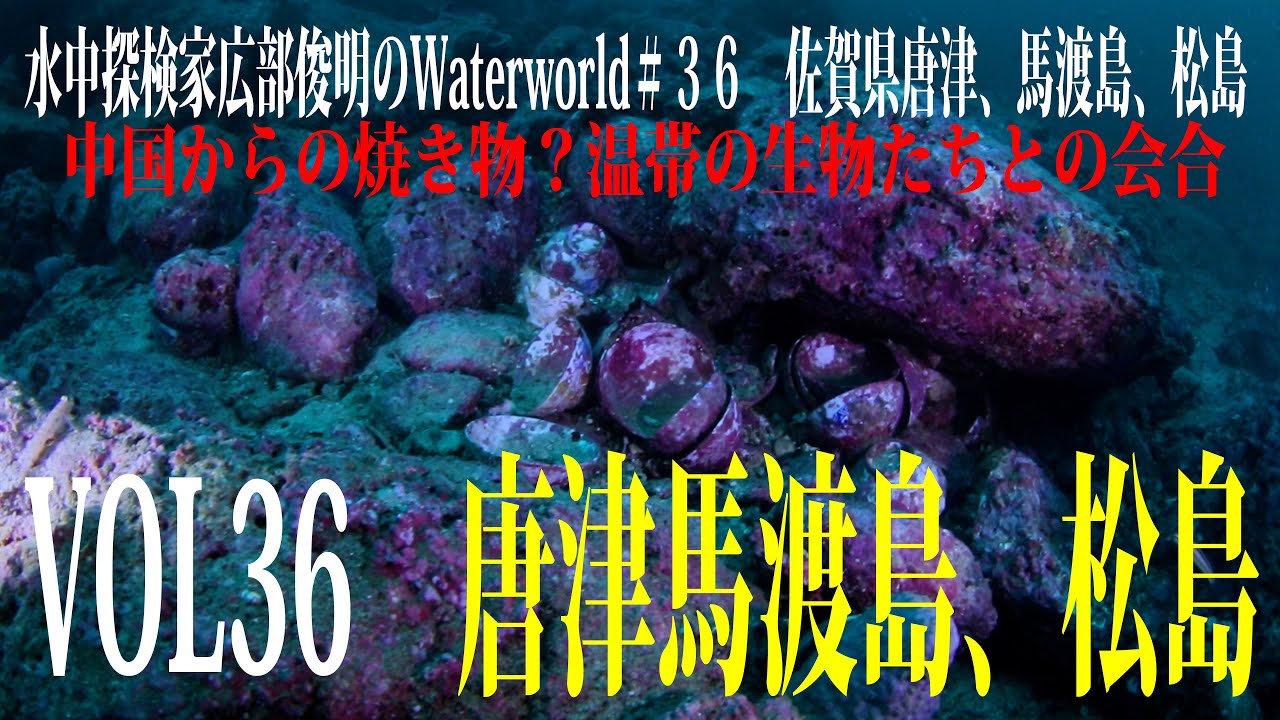 Water world VOL36  佐賀県唐津　馬渡島、松島　Underwater explorer Toshiaki Hirobe's Water world