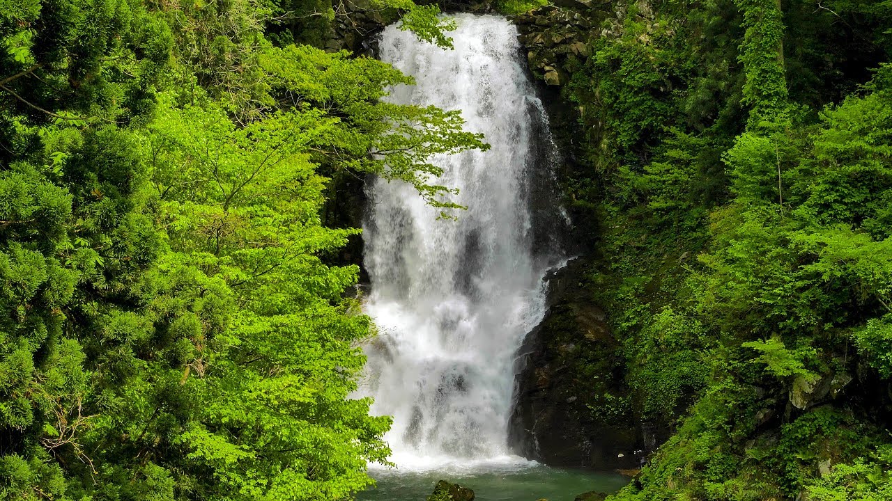 [ 4K UHD ]鳥海山･飛島ジオパーク: 新緑の奈曽の白滝 Naso Waterfall ( shot on GH5 with Gimbal)