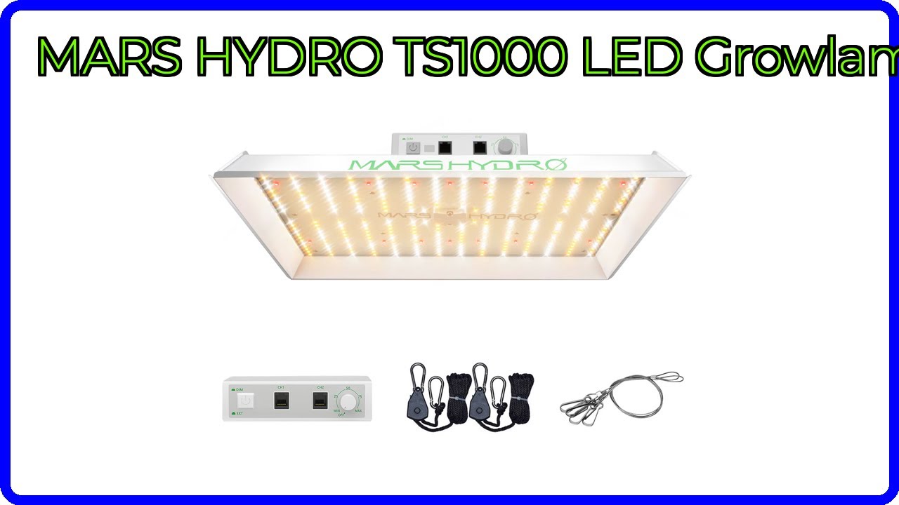 BEWERTUNG (2025): MARS HYDRO TS1000 LED Growlampe. WESENTLICHE Einzelheiten