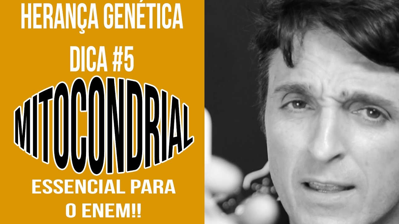 Como Identificar uma Herança Mitocondrial