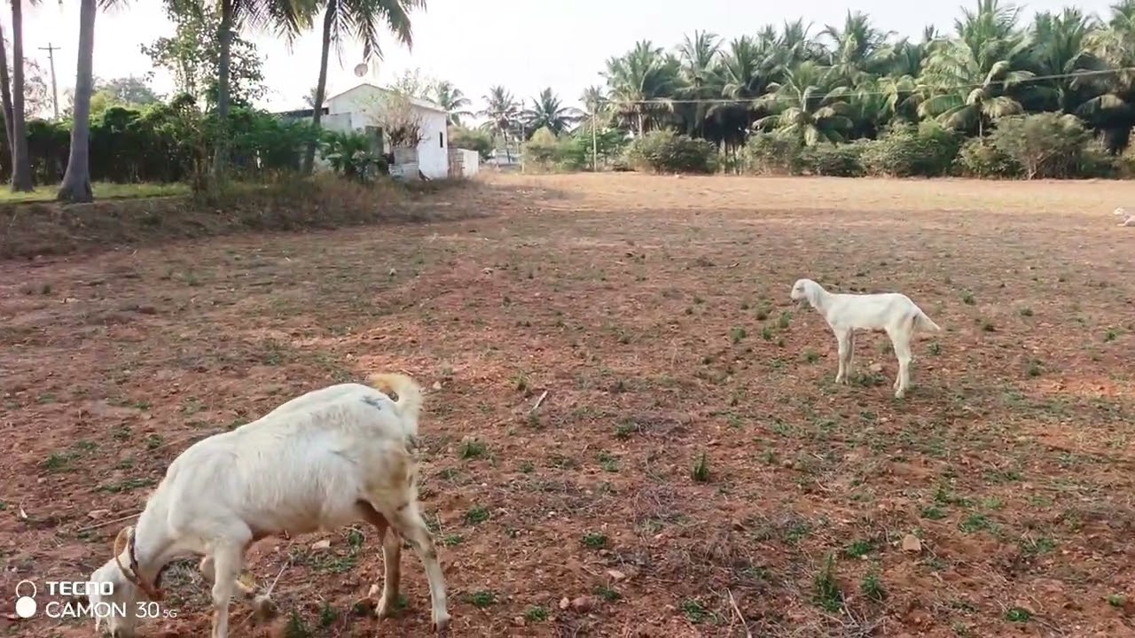 இதுதான் கடைசி வீடியோ😤