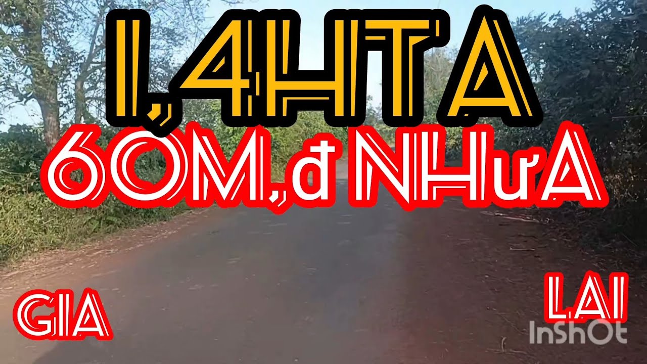 1,4 hecta, có bấm 60 m mặt đường nhựa cách quốc lộ 14A 1,5 km có điện 3 pha giếng có nhà rẫy