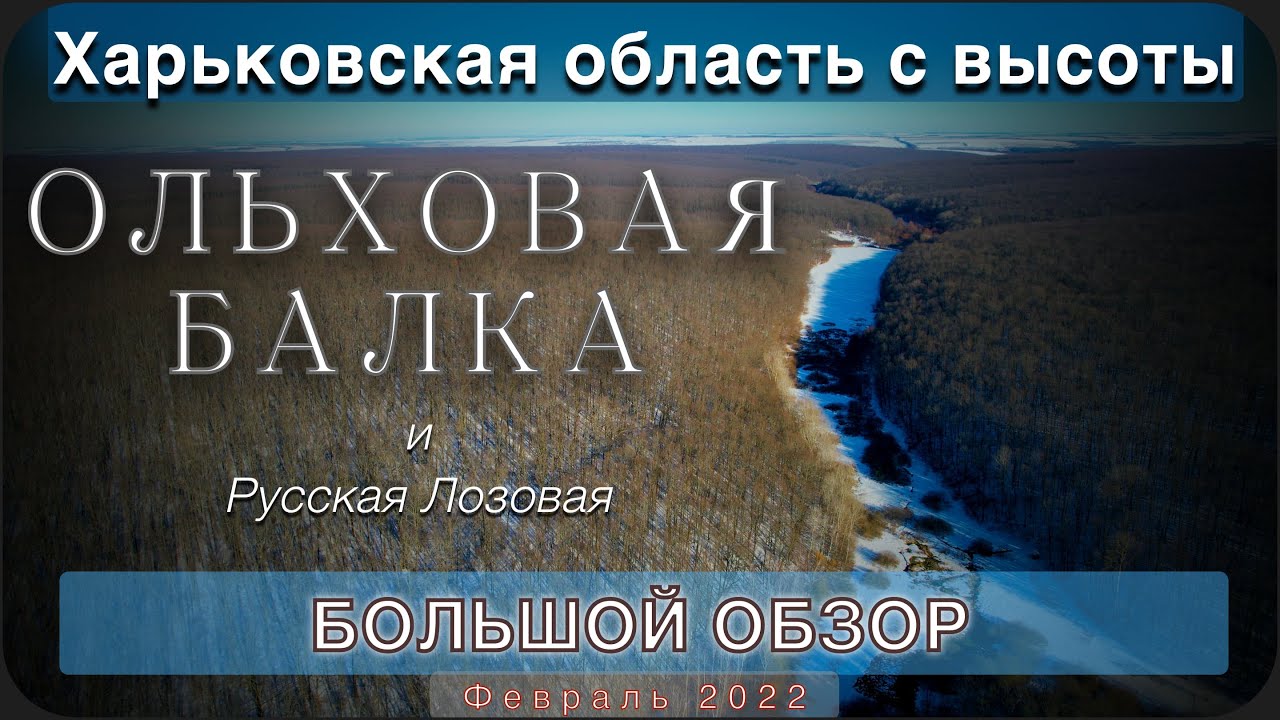 Ольховая балка. Семиозёрье. Русская Лозовая. Леса Харьковской области с высоты. Февраль 2022.