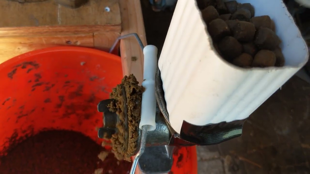 Grinding shrimp pellets in MEAT GRINDER. Makes for easy spot prawn bait.