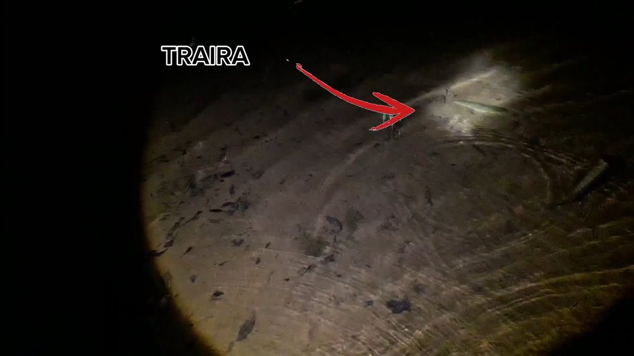 PESCA NOTURNA DE FACÃO COM MEU AMIGO 