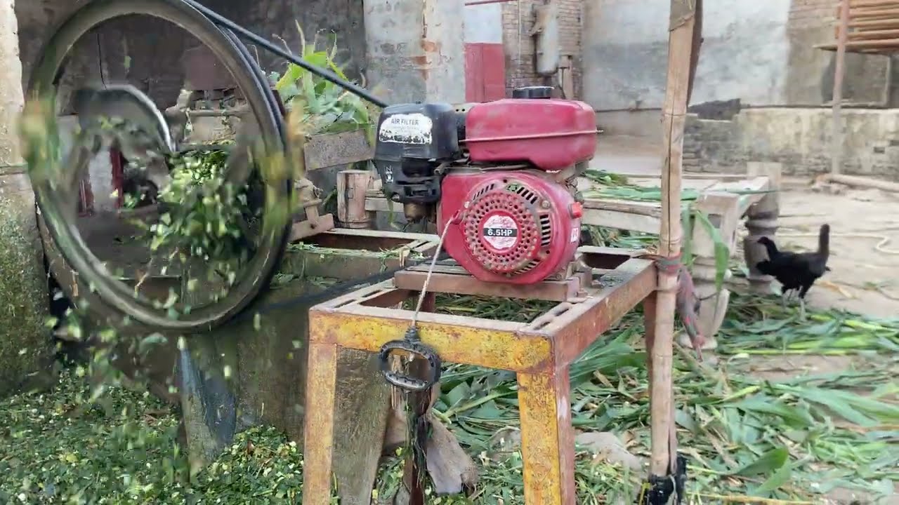 Heeriye || official grass cutting and village beautiful day || mini vlog