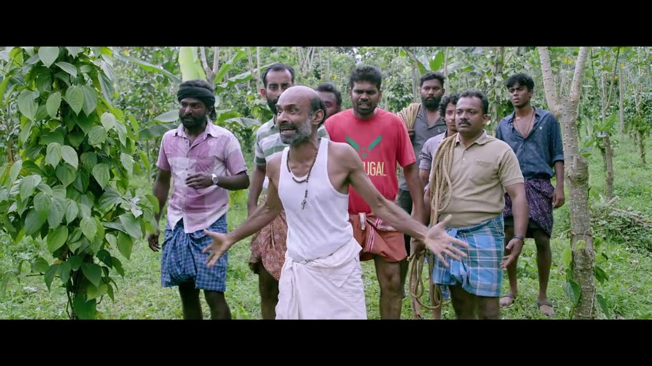 Jallikattu muted theri vili scene with original Audio #jallikattu #lijojosepellissery