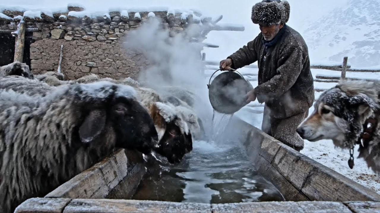 12/2 Surviving Afghanistan's Deadliest Blizzard