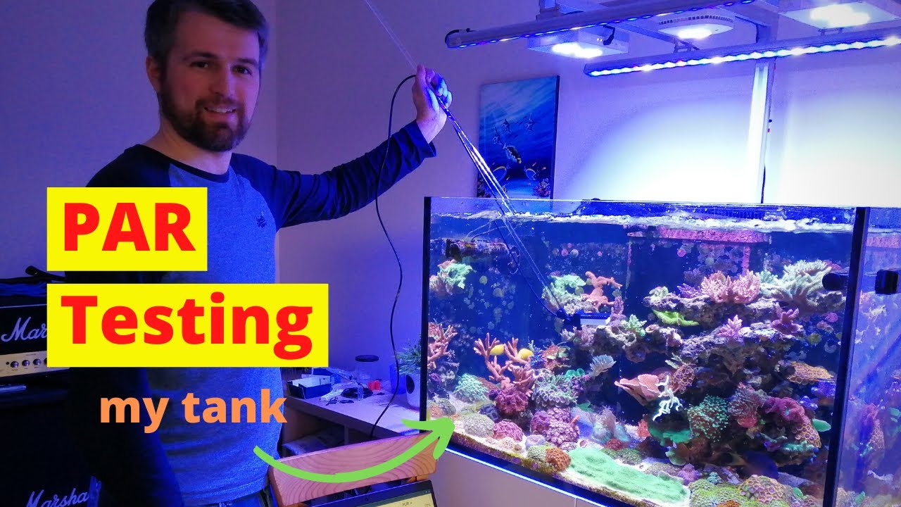 Measuring my reef tank PAR (Is it too high?!)