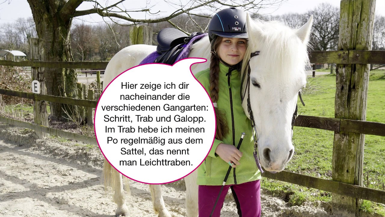 Leselauscher &ndash; Die Gangarten
