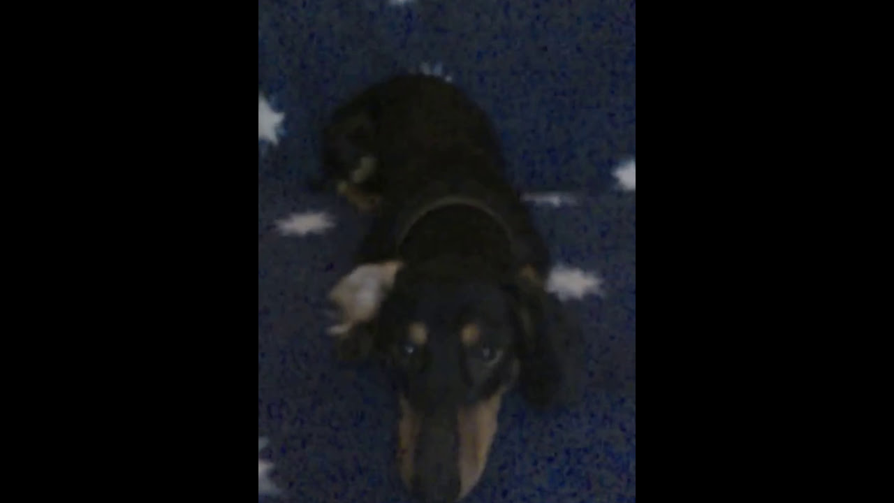 Ricky 7/12/2016