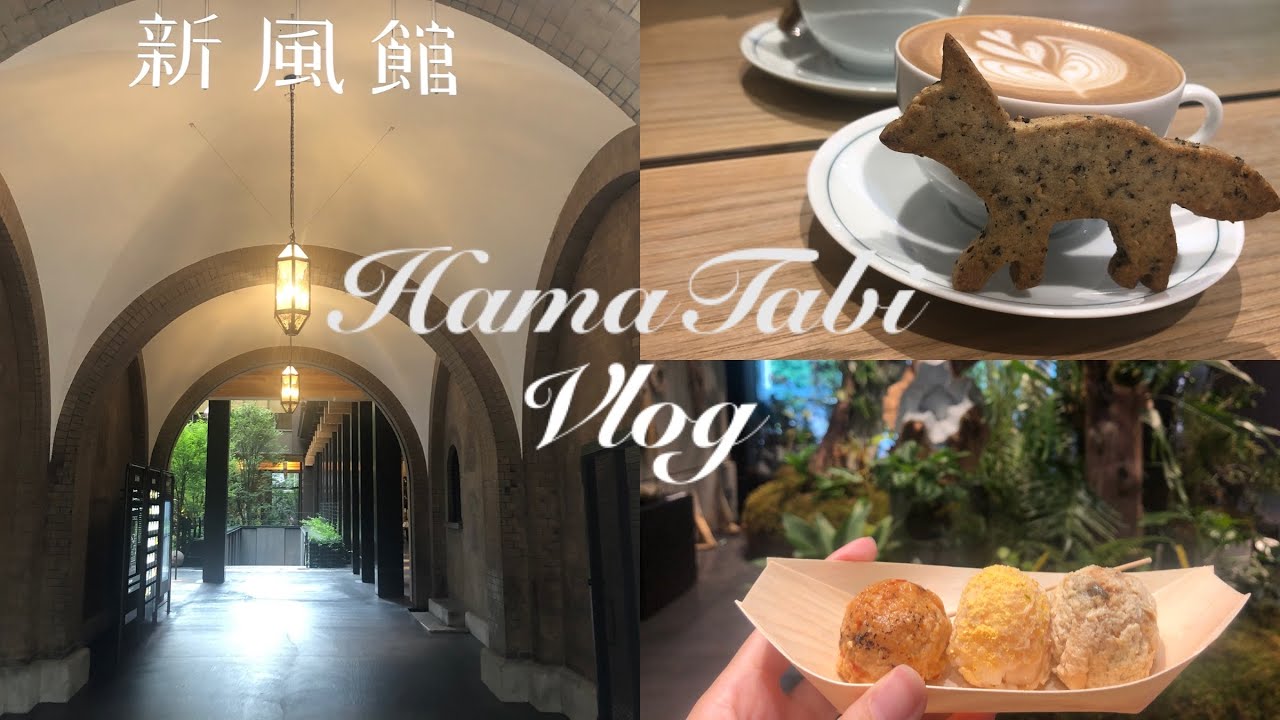 【Vlog#25】日帰り京都1人旅♫新風館◆アップリンク◆カフェ巡り