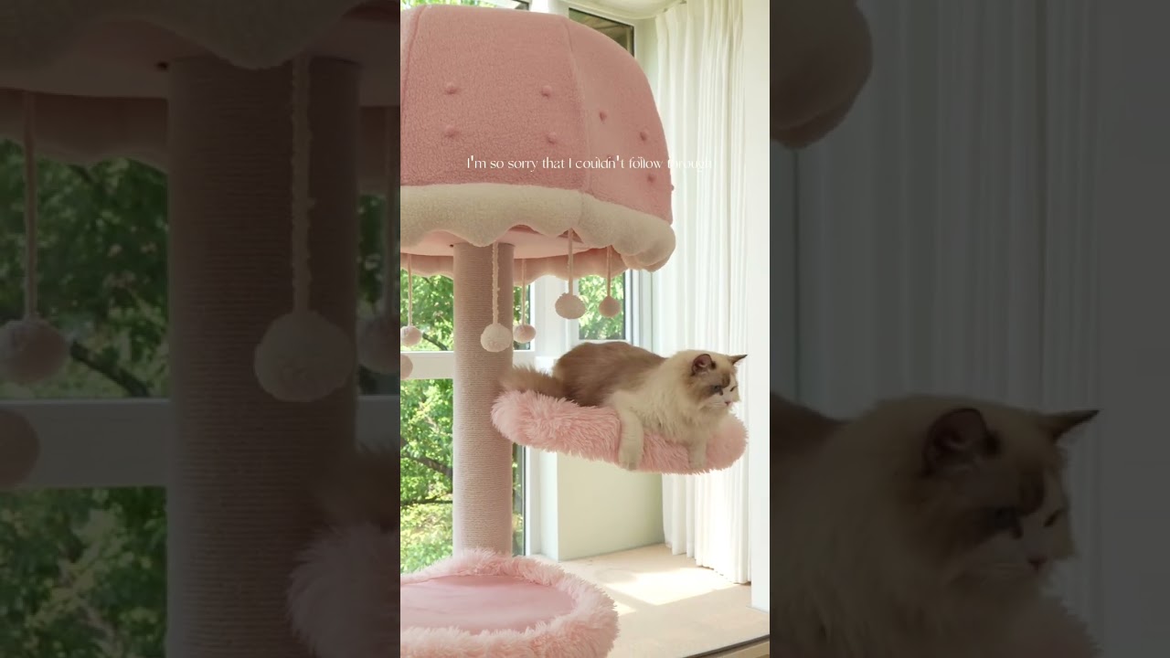 Feline fashion starts here 😻🛋️#PurrNook #jellyfishcattree #cattree #lovelycat #woodcattree