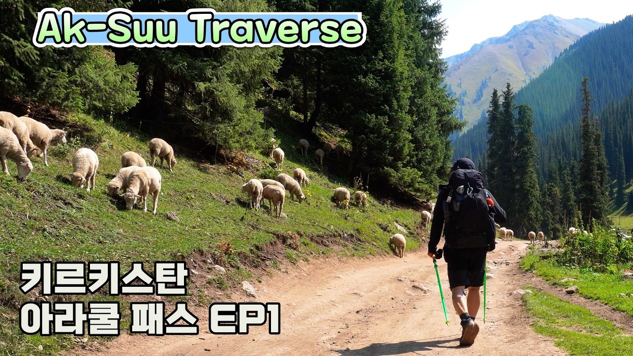 키르키스탄 트레킹.알틴 아라산 EP1.#키르키스탄#알틴아라산#카라쿨