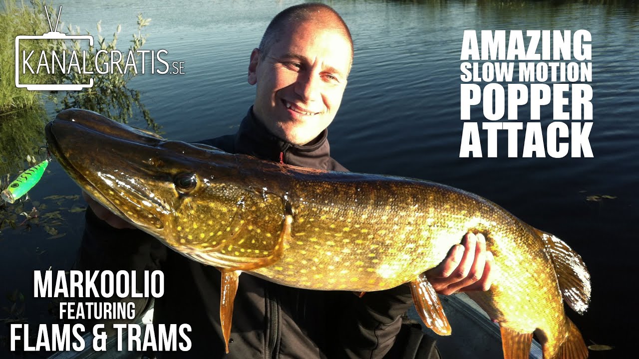 Flams & Trams ft. Markoolio | Amazing Slow Motion Popper Attack