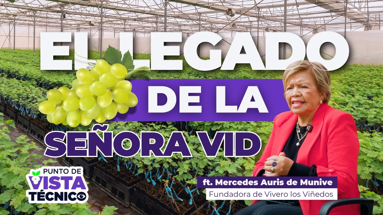 31 años de pasión y liderazgo en la agroindustria peruana | Mercedes Auris en Punto de Vista Técnico