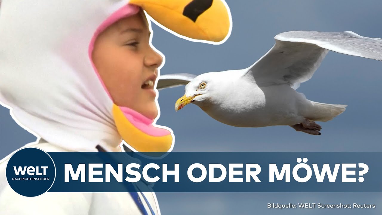 BELGIEN: Kurioser Wettbewerb! Neunjähriger gewinnt Europameisterschaft im Möwen-Kreischen