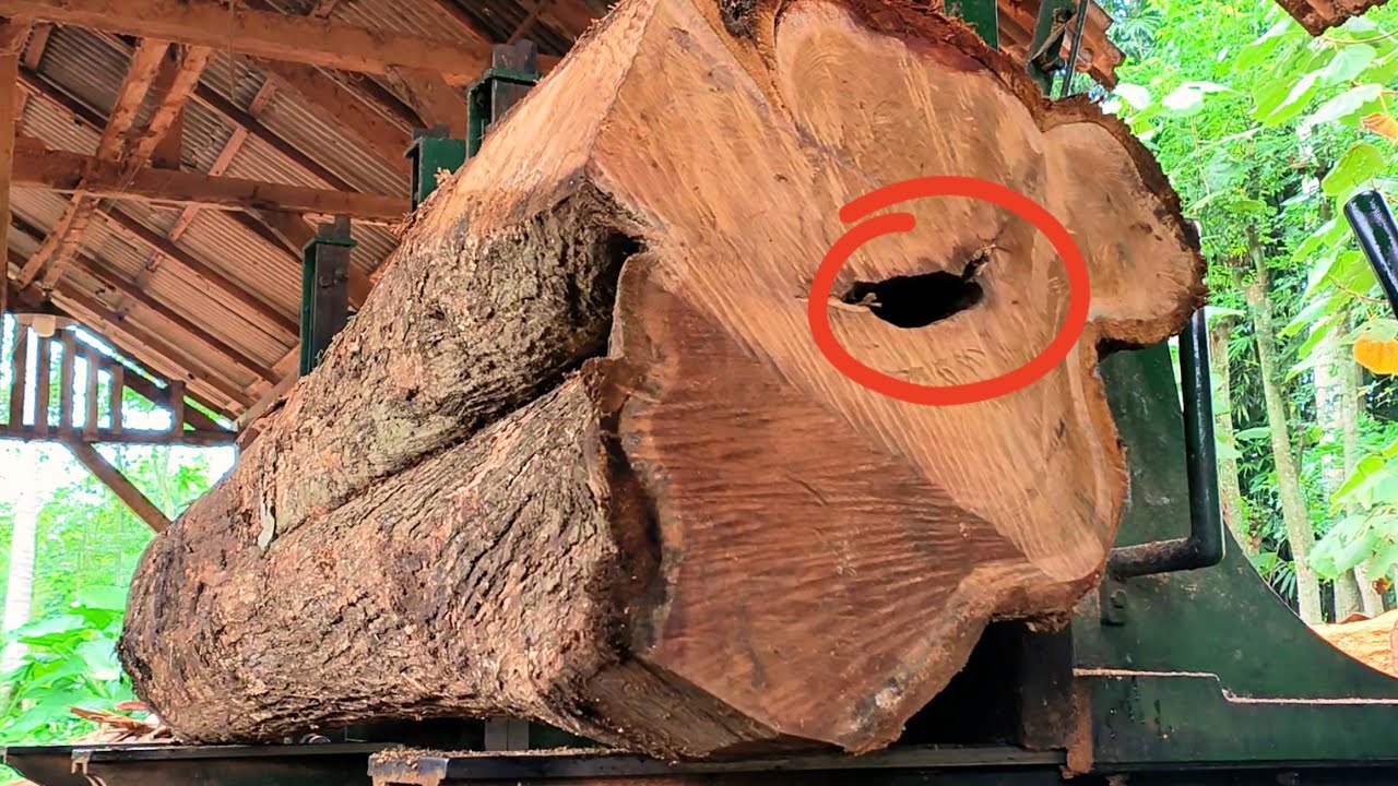 A BRUTAL AND SADISTIC ATTACK! Uncovering the secret behind the large teak logs in the sawmill 
