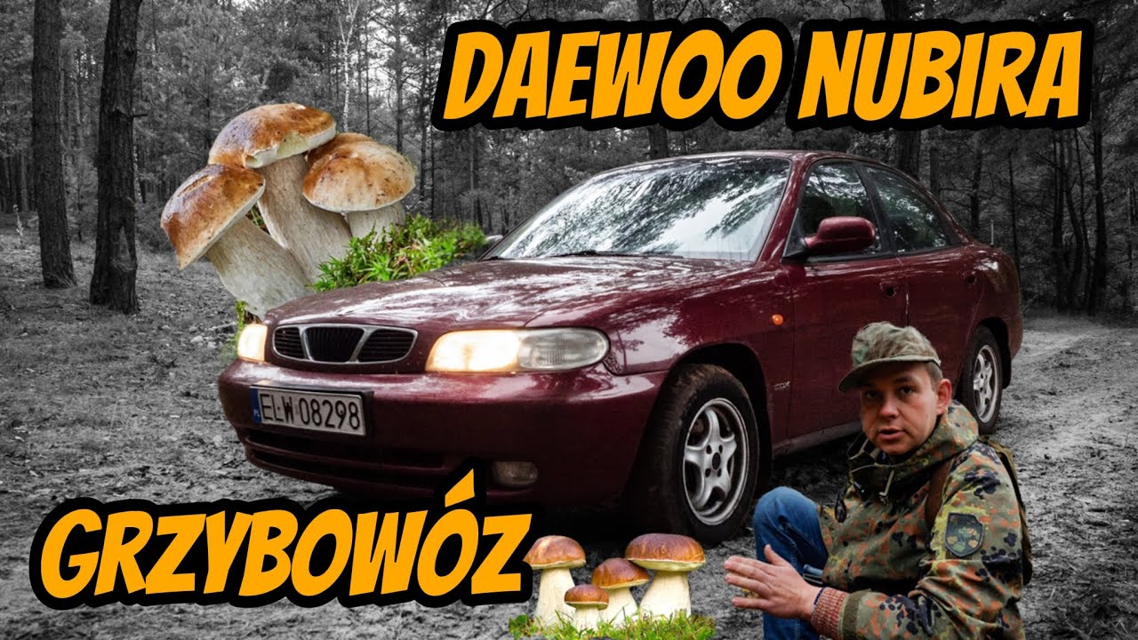 Daewoo Nubira to prawdziwy grzybow&oacute;z!