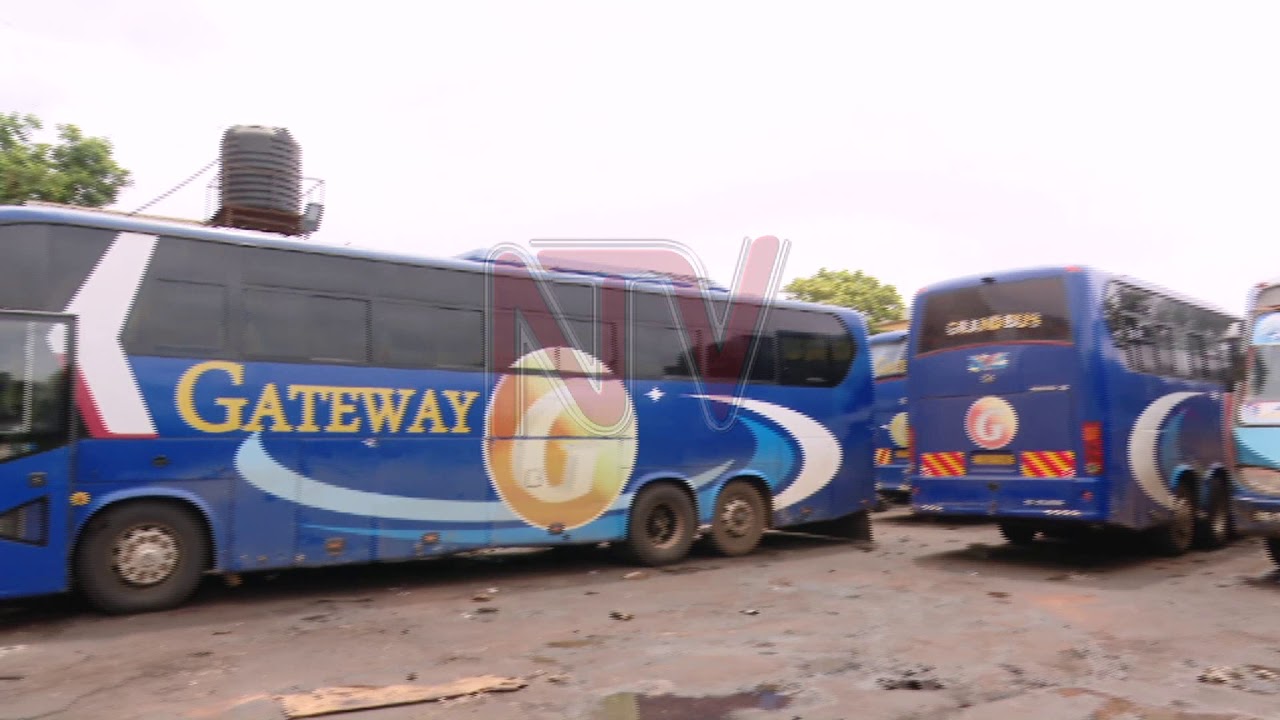 COVID-19 PANDEMIC: Gateway bus company offers transport to health workers