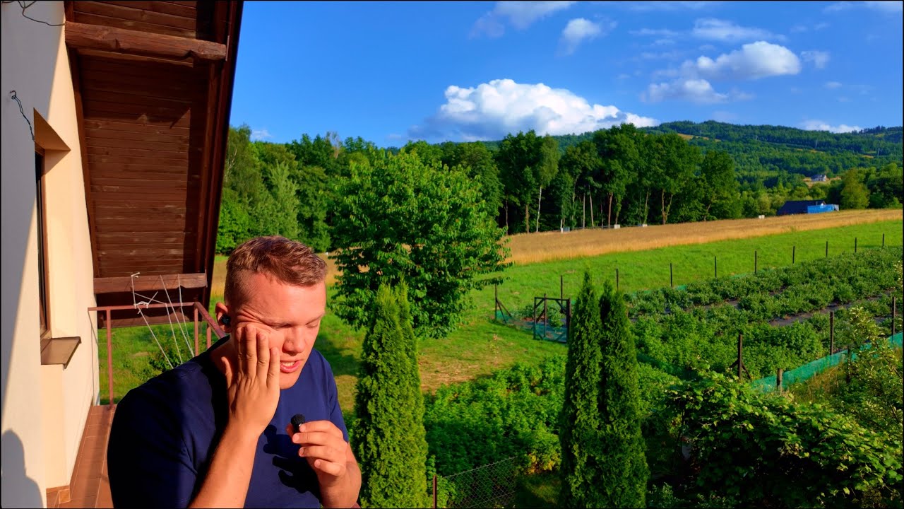 Vlog from home Blueberries Krakow at night