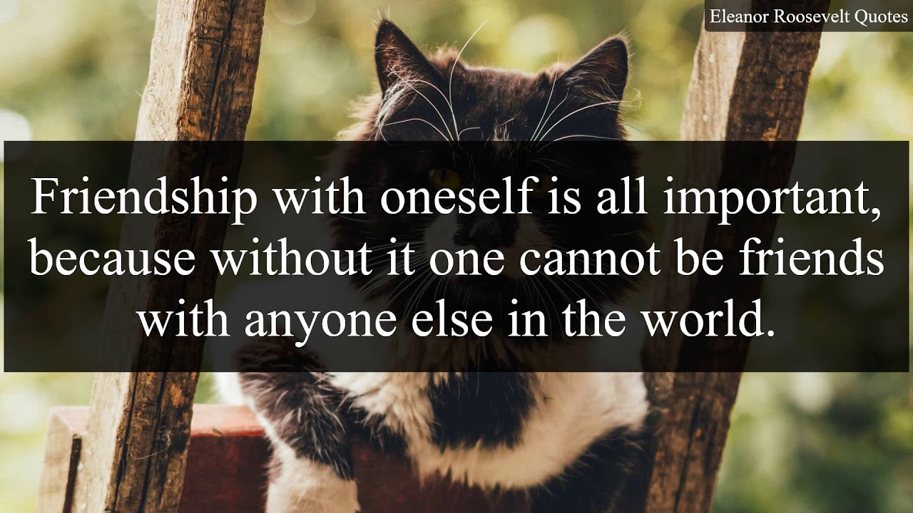 Eleanor Roosevelt Quotes