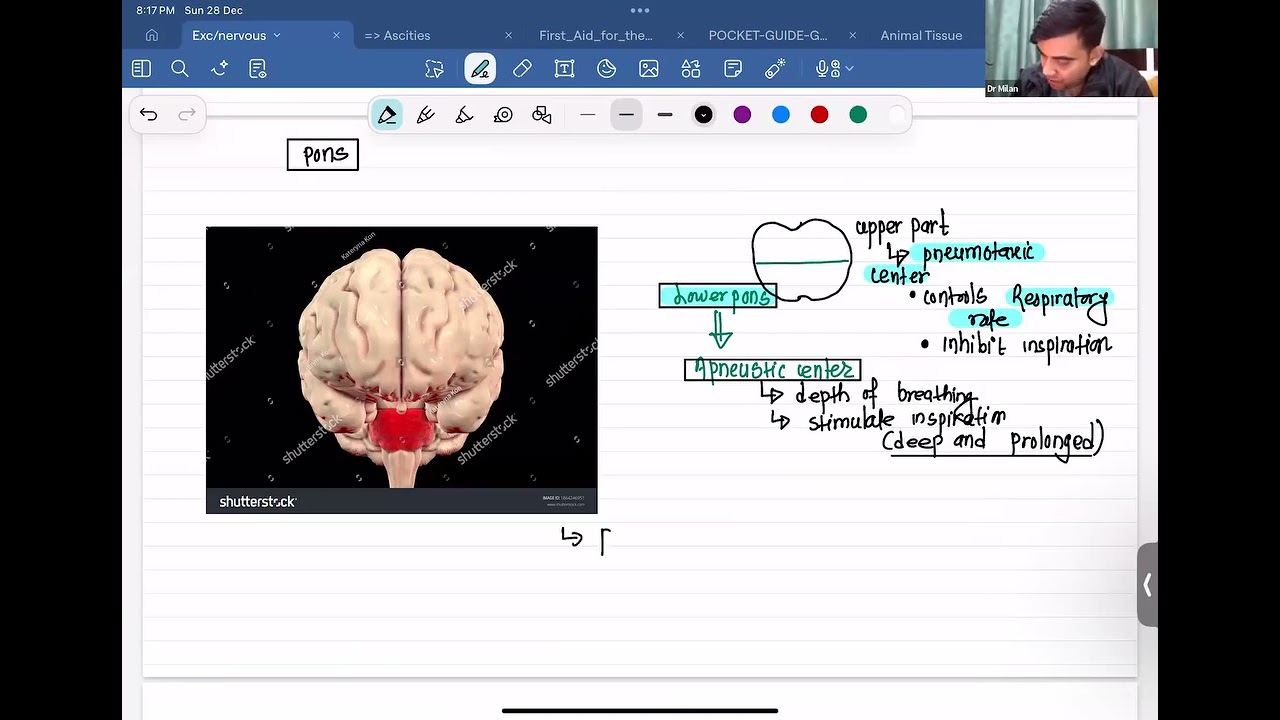 Nervous lec-4 Milan gaire sir 
