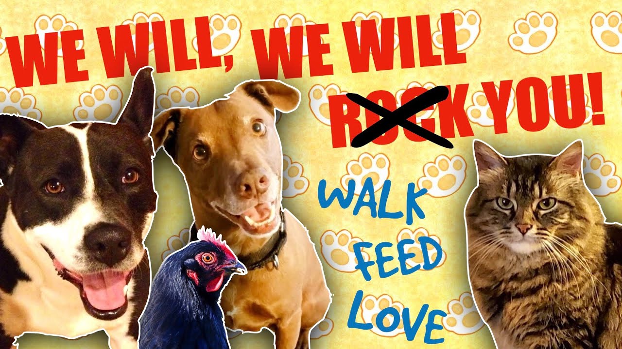 Queen - We Will Rock You Parody Song for Pet Owners