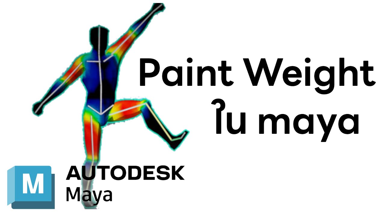 Preview Paint Weight ใน maya