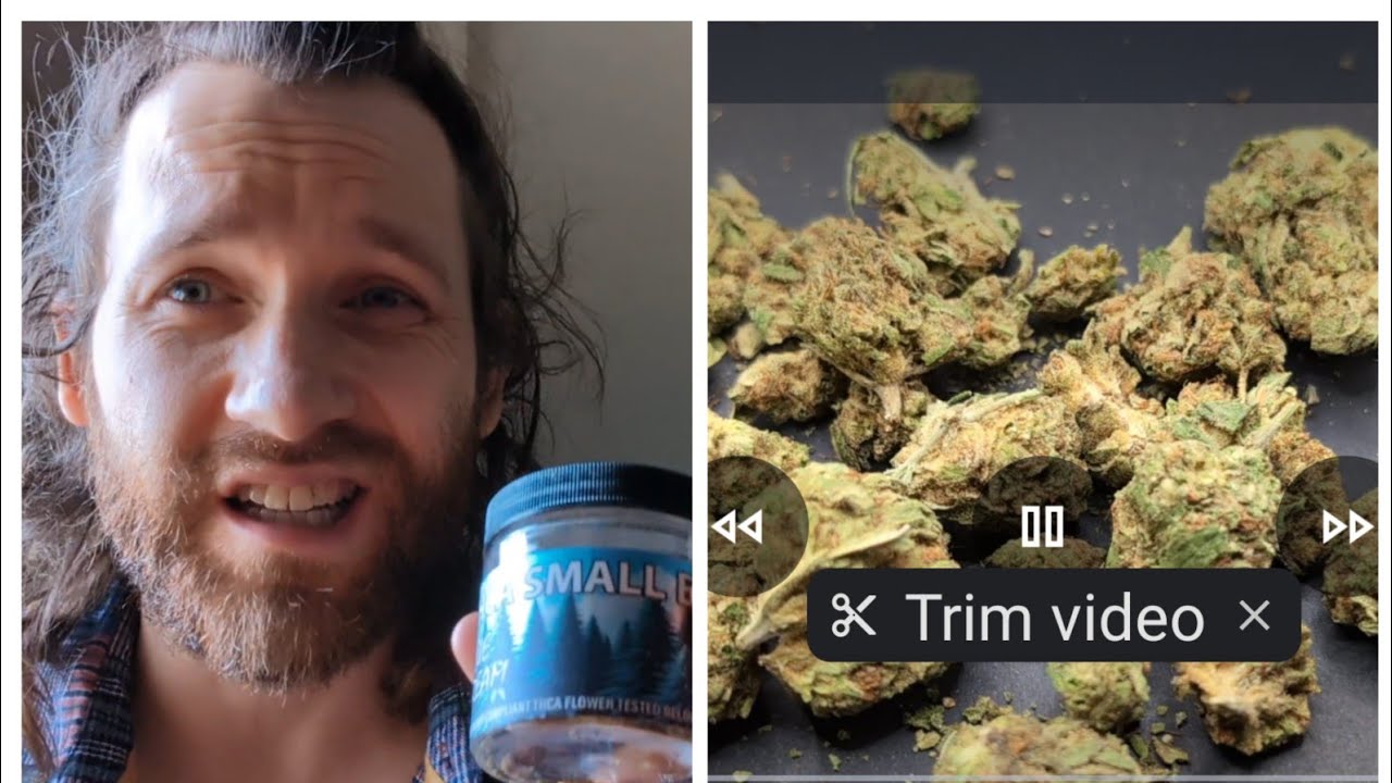 Blue dream Outdoor flower review from THCA small buds  this one is agreeable on the olfactory