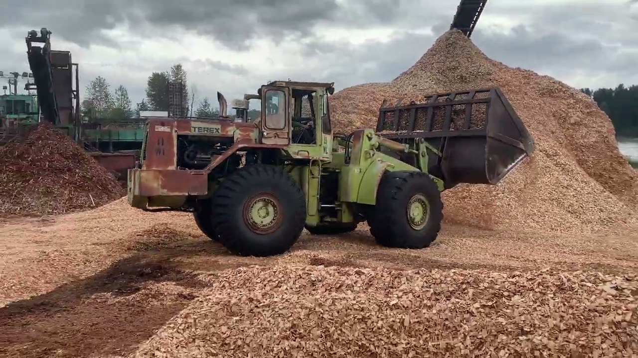 Terex 72-61 Wheel Loader