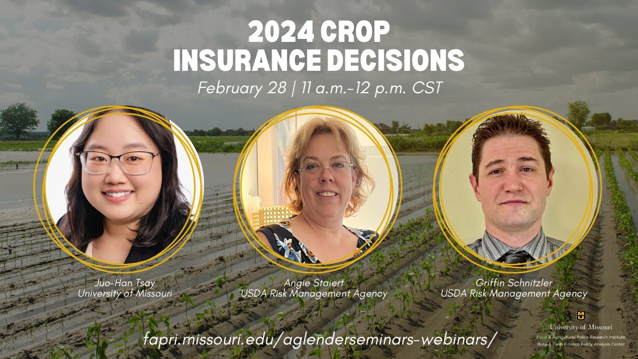 A Look into 2024 Crop Insurance Decisions