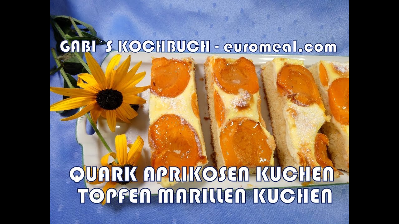 Topfen Marillen Kuchen - Blechkuchen mit Quark und Aprikosen