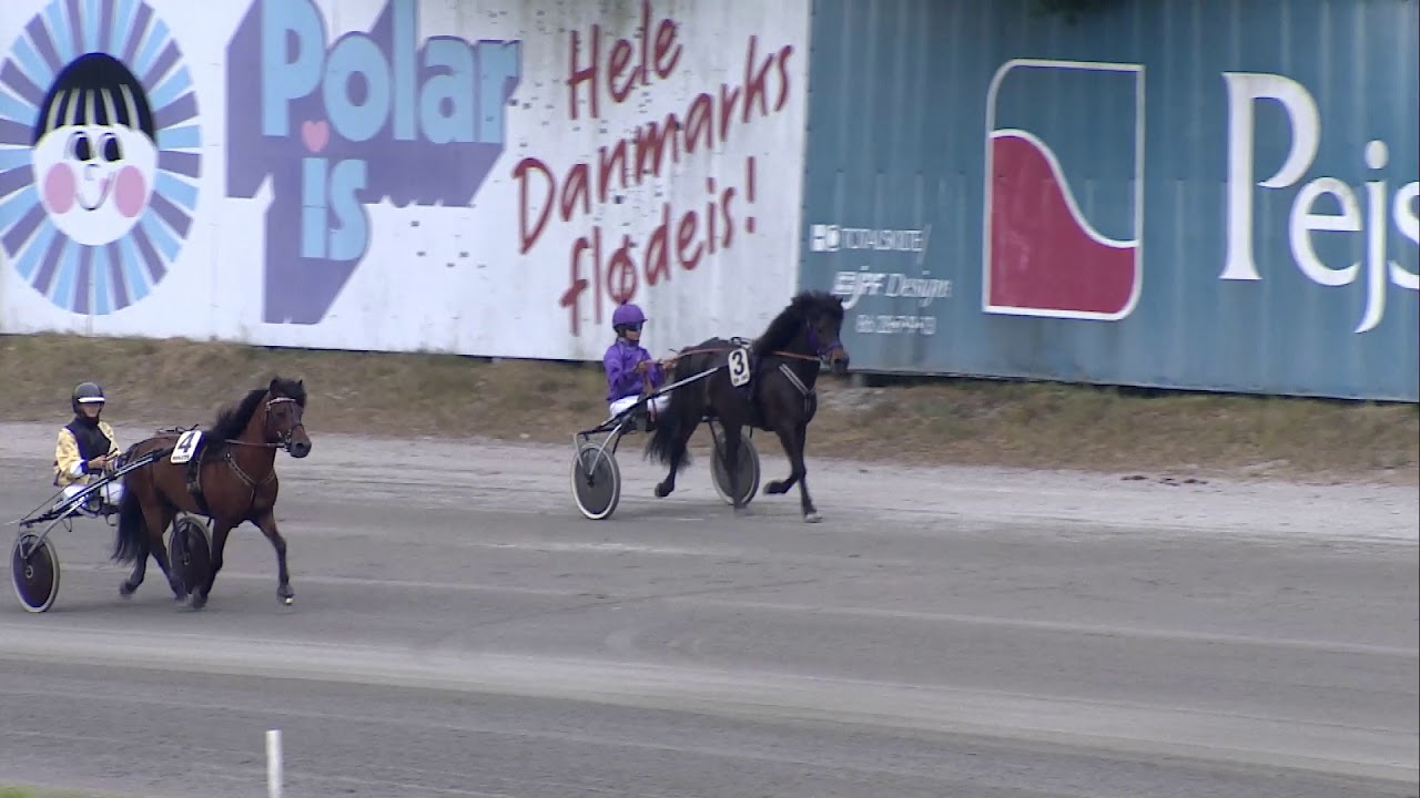 Ponyløb - Billund Trav d- 3. juni 2018