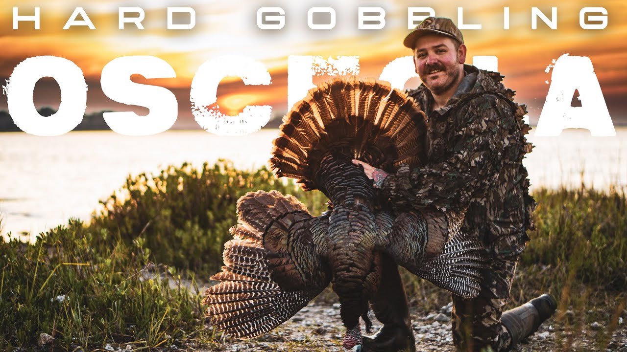 The MOST Gobbling I've Ever Heard!! | Hunting Osceola Turkeys In The Florida Swamp