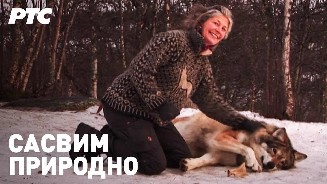 20 godina u prirodi, prvi deo | Sasvim prirodno (Jovan Memedović)