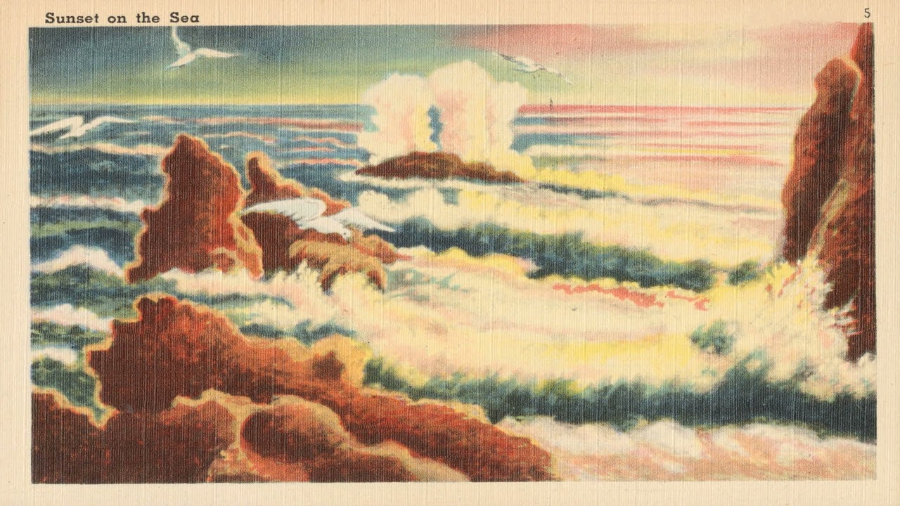 𝐏𝐞𝐫𝐩𝐞𝐭𝐮𝐚𝐥 𝐂𝐨𝐥𝐥𝐢𝐬𝐢𝐨𝐧