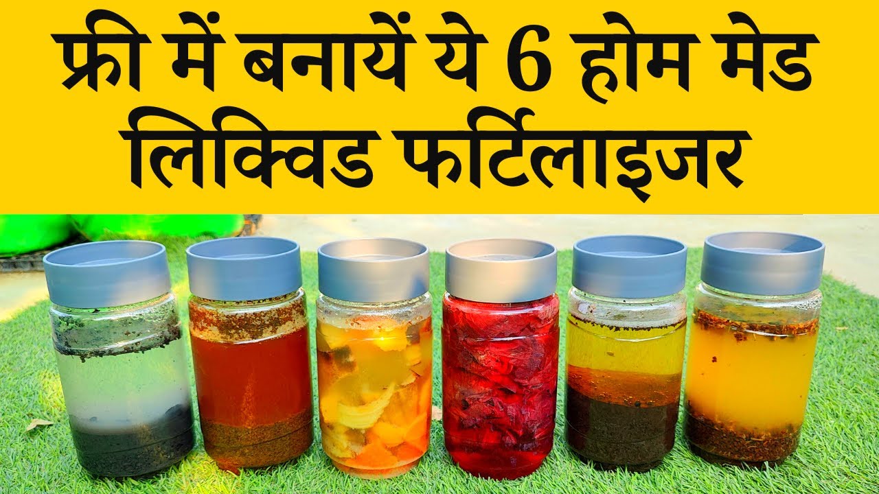 तुरंत ताकत के लिए पौधों को दें ये 6 होम मेड लिक्विड फर्टिलाइजर | Top 6 Liquid Fertilizer for Plants