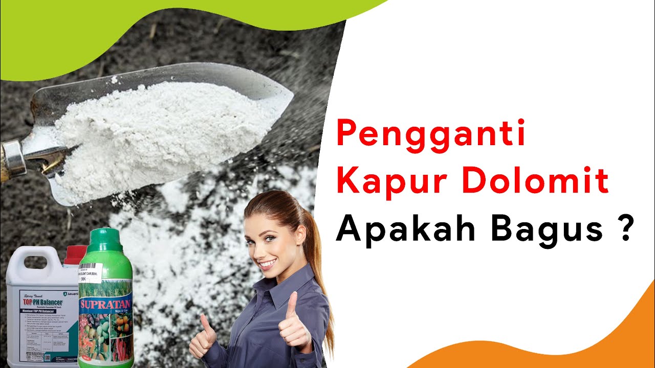 2 Produk Pengganti Kapur Dolomit, Apa Bisa Naikkan pH Tanah dengan Cepat