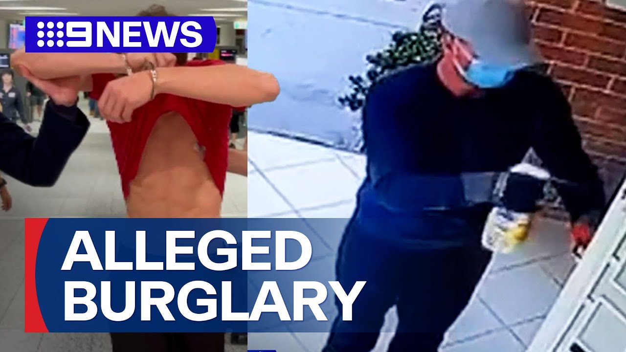 Border security under pressure after Irish gang's alleged burglary spree | 9 News Australia