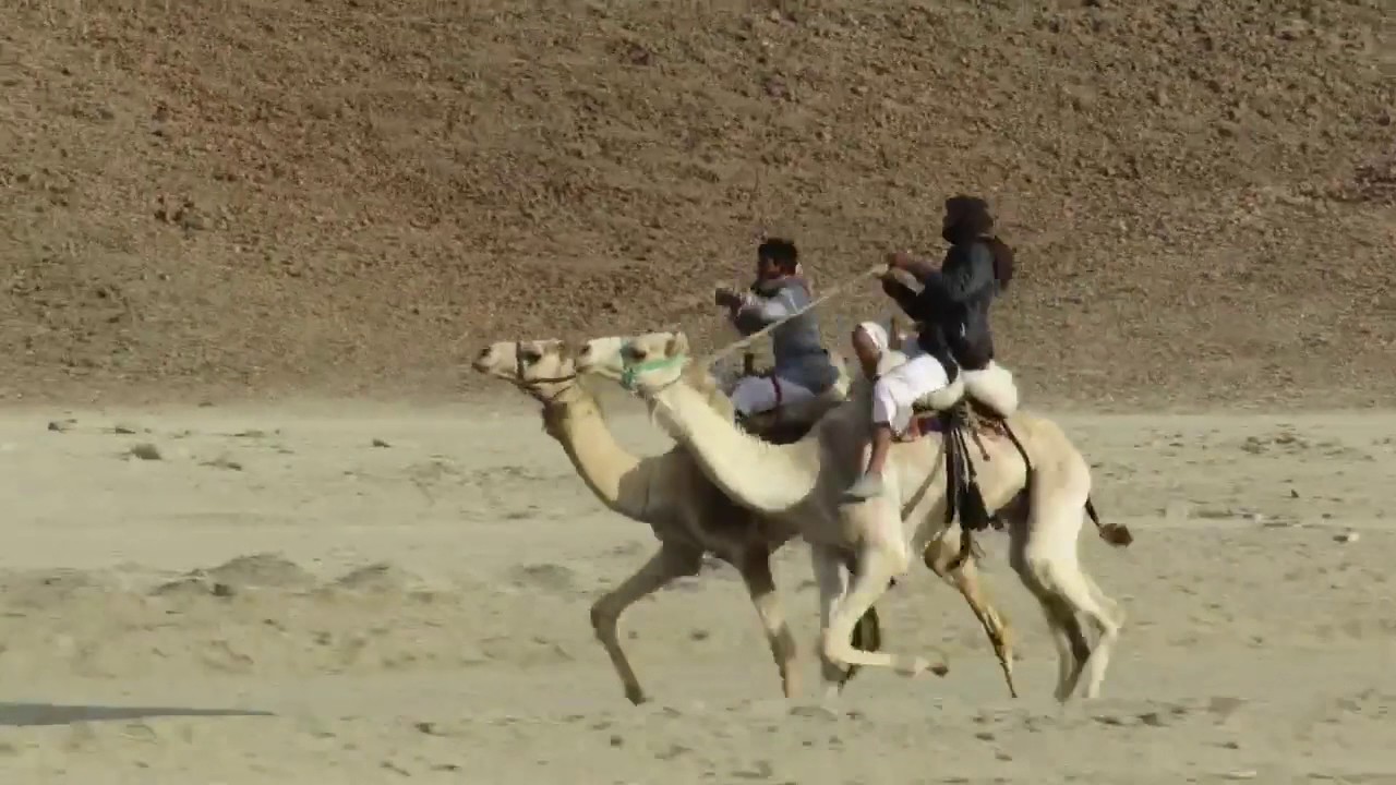 تفحيمه في هجره مرخ