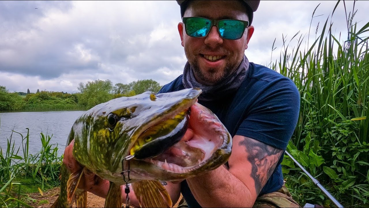 Szczupaki na: Salmo Fatso/Szczur Savage Gear/ Spinmad Poland