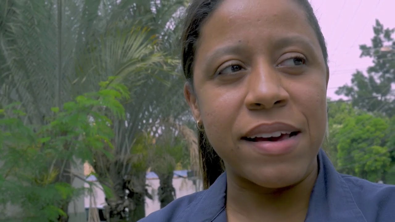 Socorristas – Documentários