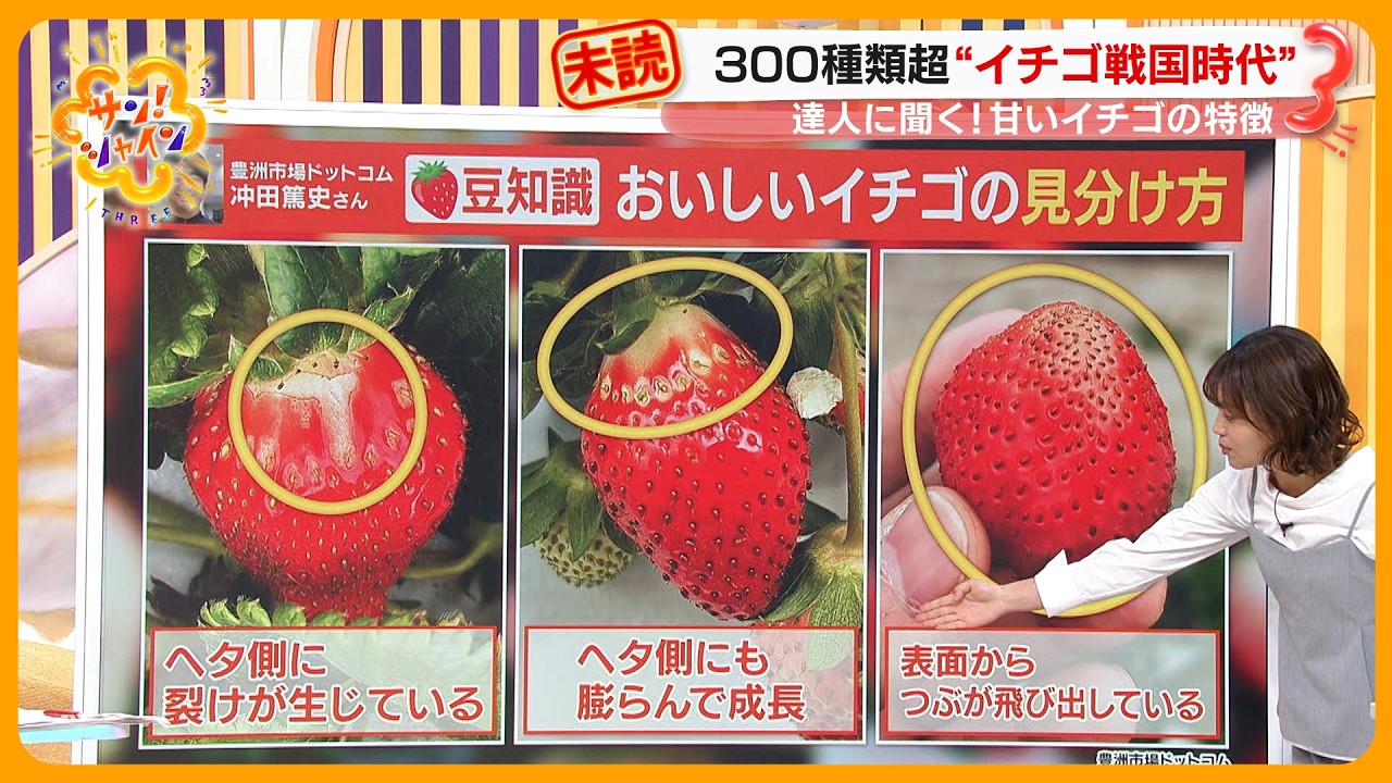 【イチゴ戦国時代】新たな王者は｢とちあいか｣に決定！そのお味とは？ 達人に聞く甘いイチゴの特徴とは？【サン！シャインニュース】