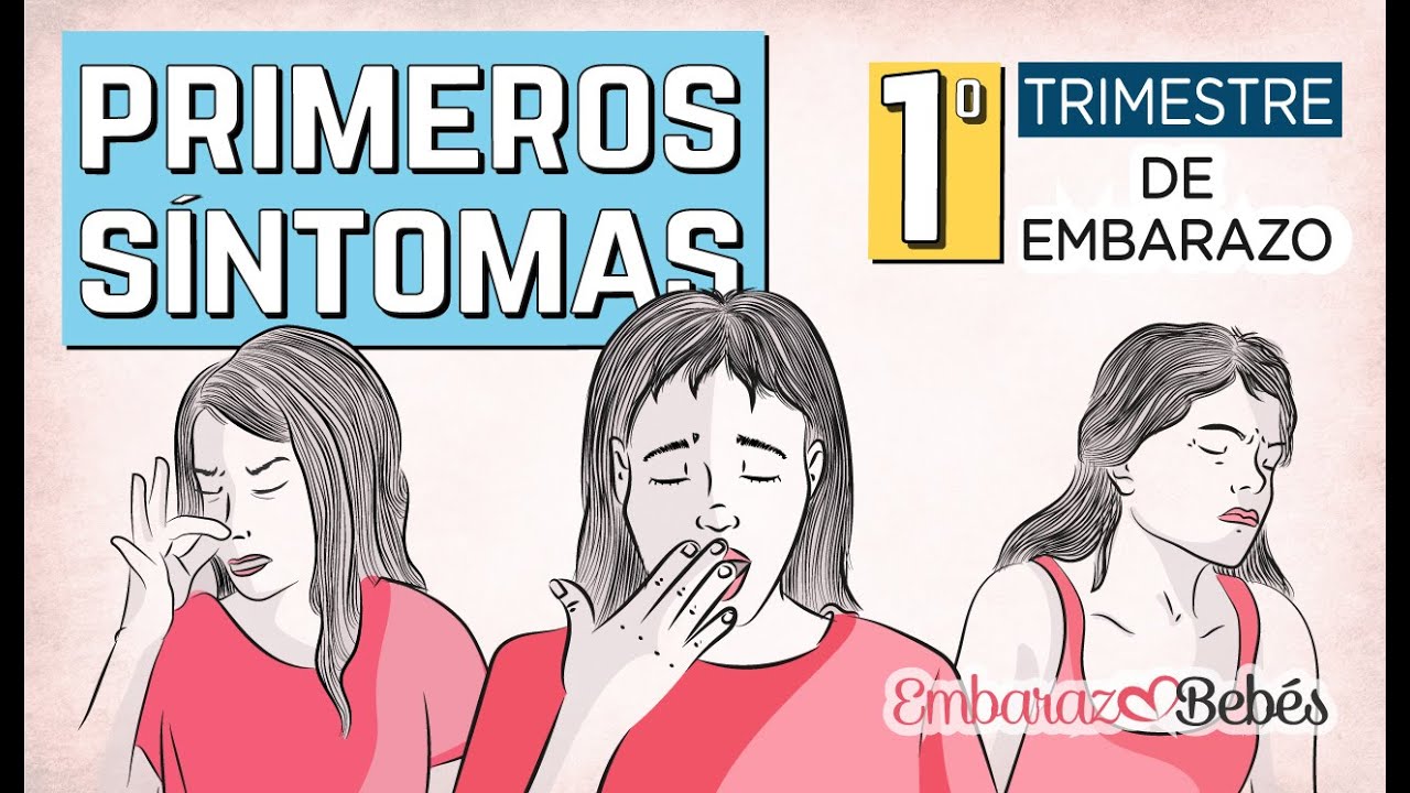 🆘😣 PRIMEROS S&Iacute;NTOMAS de EMBARAZO | Primeros d&iacute;as | 1&ordm; Trimestre