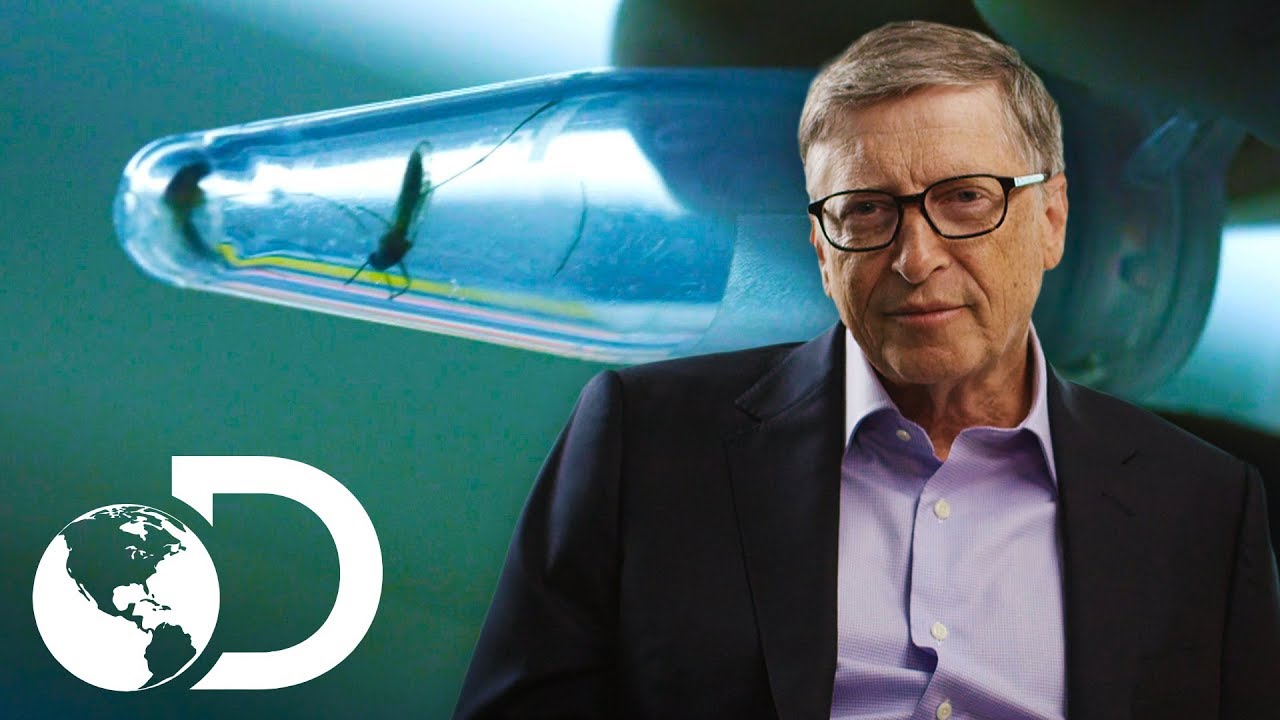 El uso de la biotecnología para combatir las epidemias | Mosquito | Discovery Latinoamérica