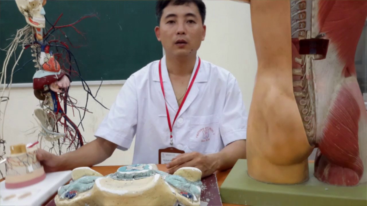 [GIẢI PHẪU THỰC HÀNH] - THẦN KINH TRUNG ƯƠNG: TỦY SỐNG