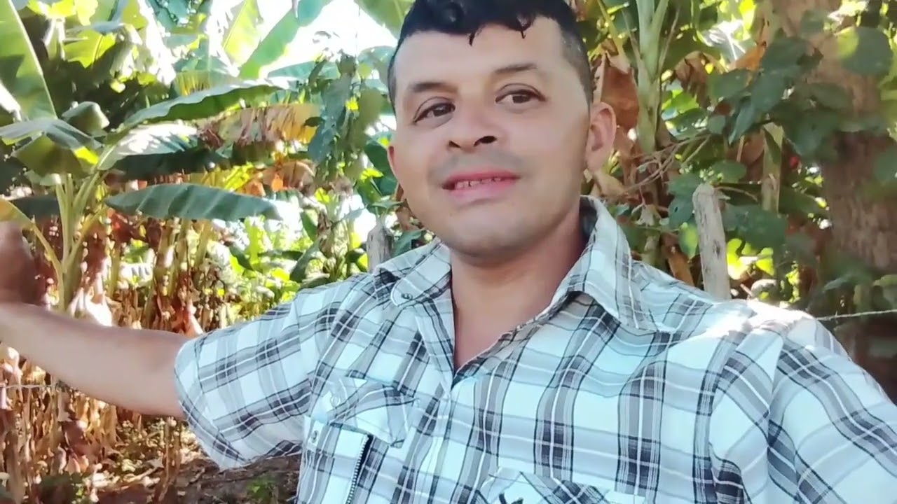 Le mostraré estas 🏠de unos amigos que viven en los Estados Unidos🇺🇸