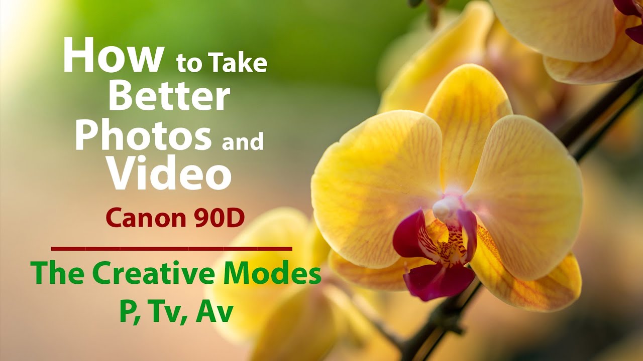 Canon 90D в творческих режимах P Tv и Av